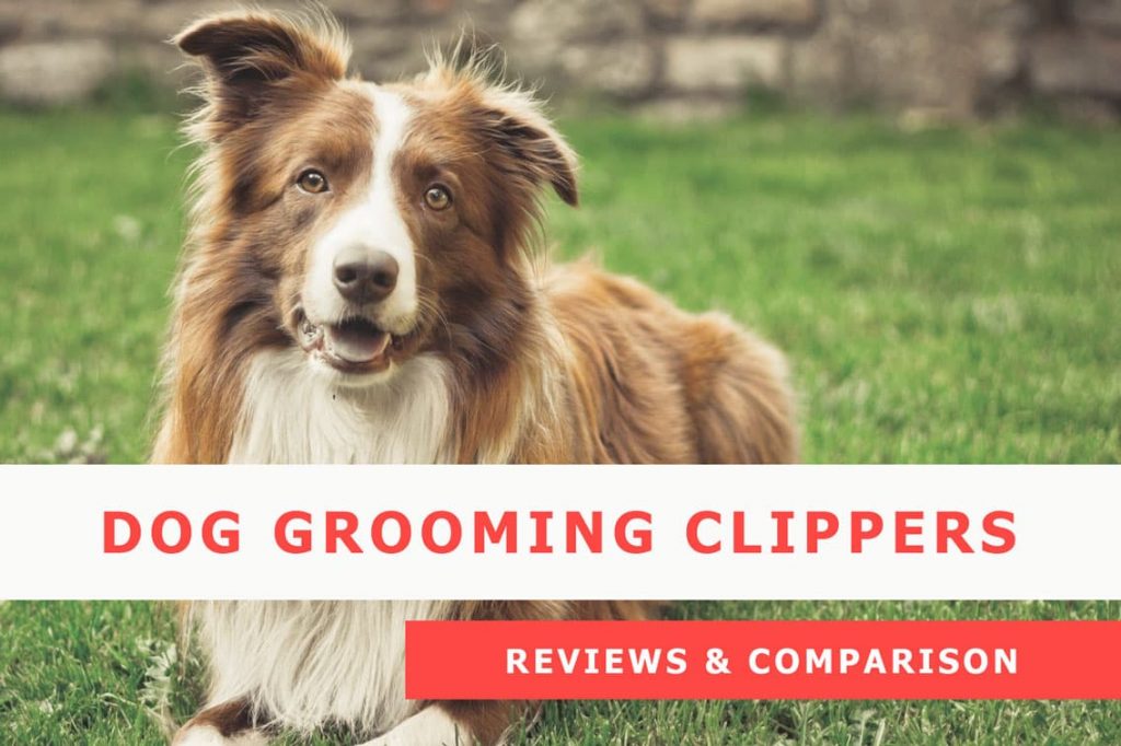 best professional Dog grooming clipper review and buying guide