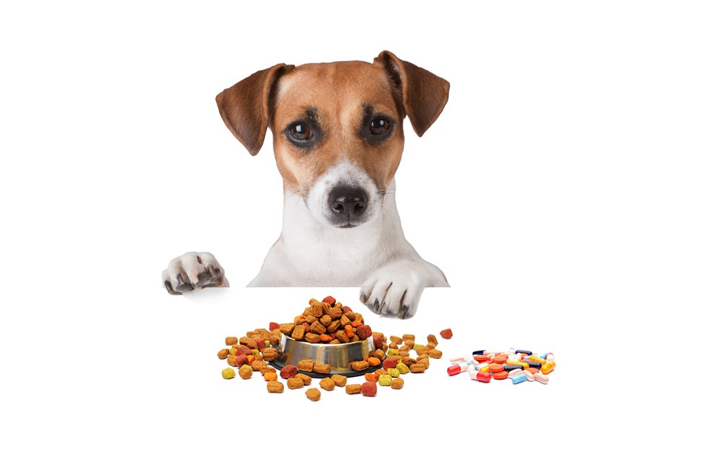 Dog Vitamins and Supplements