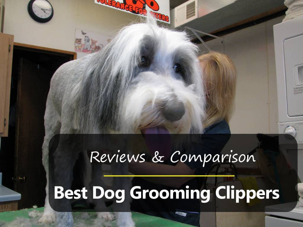 Top 5 Best Dog Clippers in 2018 (Reviews Buying Guide!)