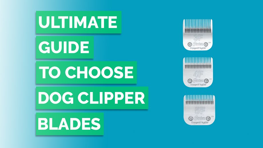 guide to choose dog clipper blade from crittersitca