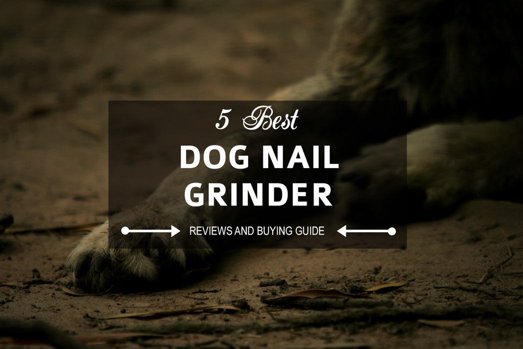 Best Dog Nail Grinder